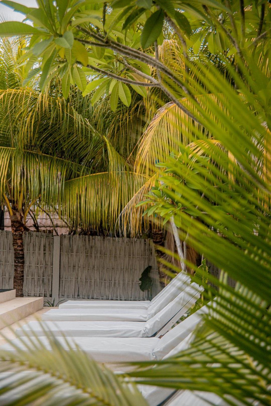 Hakuna Matata Resort Гили Еър Екстериор снимка